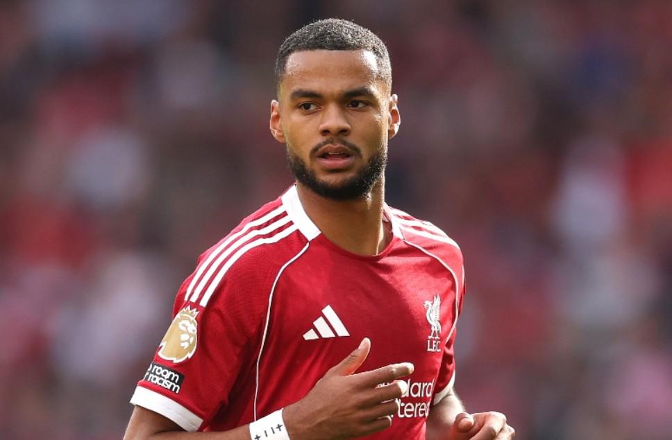 色的人们 色的人们